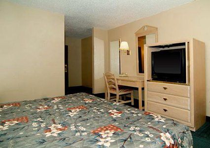 Valuelodge Busch Gardens - Motel Tampa